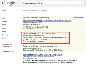 ferndale gutter cleaning - Google Search